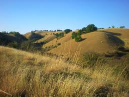 Делиблатска пешчара