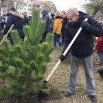 Akcija "Zasadi drvo"