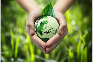 VI "ЕКО РЕГАТА ТАМИШ" 2015