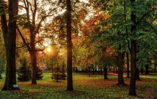 Народна башта