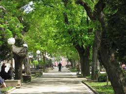 Народна башта