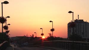 Привреда филм