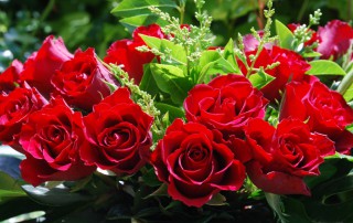 Осми март - слика