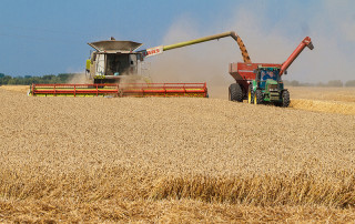 пољопривреда