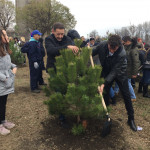 Акција "Засади дрво"