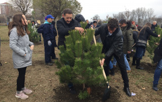 Акција "Засади дрво"