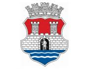 Лого града Панчева