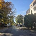 Почињу радови на реконструкцији Стеријине улице